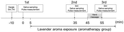 Sex differences in the effects of aromatherapy on anxiety and salivary oxytocin levels